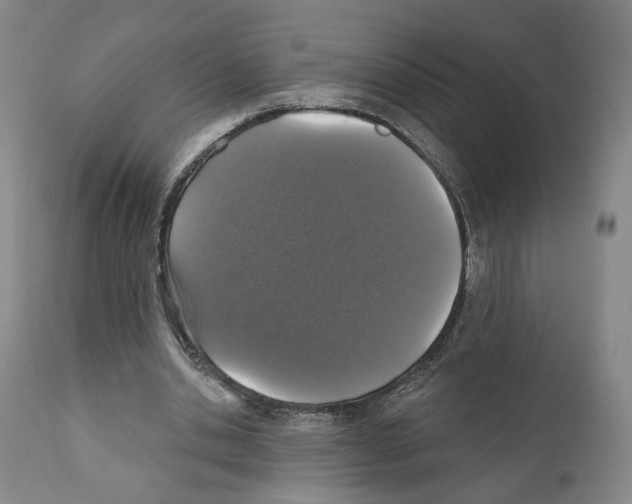 X0000111580438200908271039