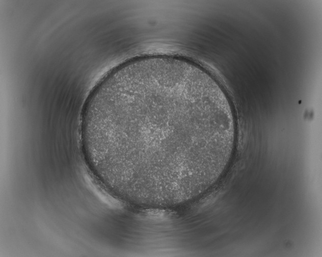 X0000111580439200908271039