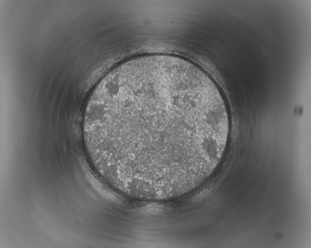 X0000111580441200908271039