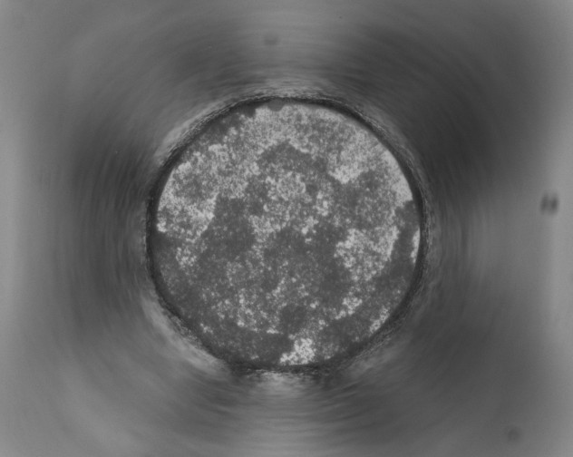 X0000111580442200908271040