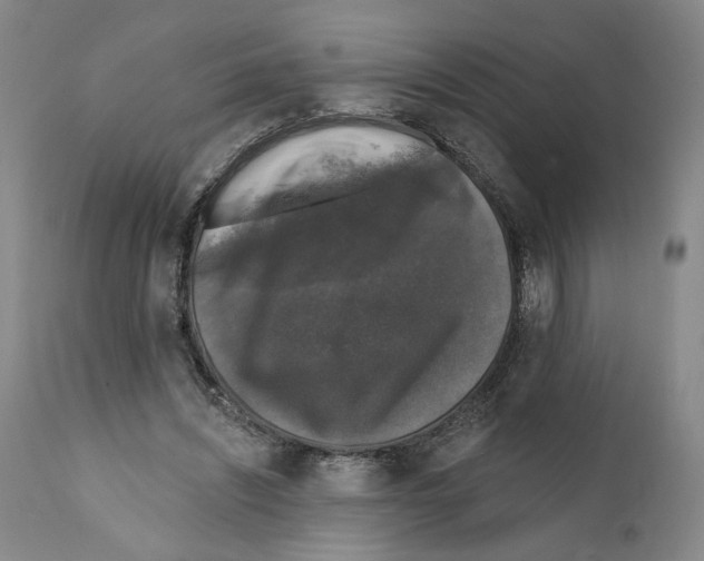 X0000111580444200908271040