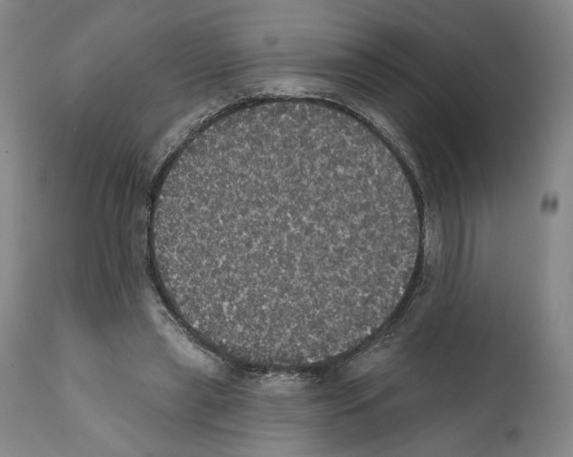 X0000111580445200908271040