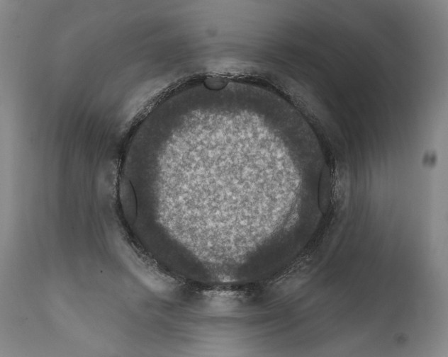 X0000111580448200908271040