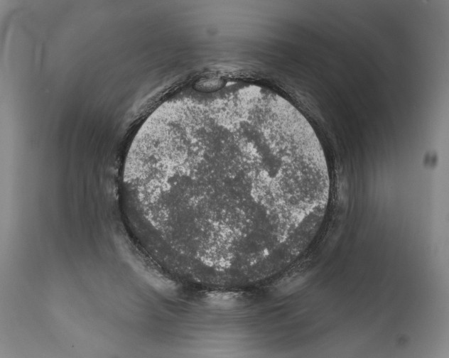 X0000111580450200908271040