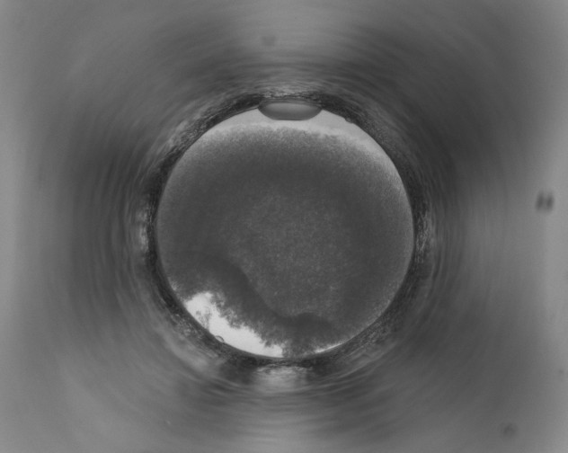 X0000111580452200908271040