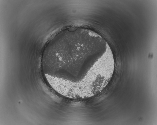 X0000111580454200908271040