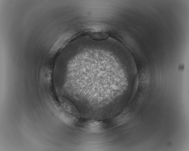 X0000111580456200908271040