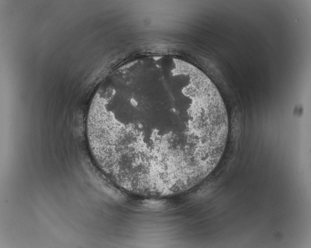 X0000111580457200908271040