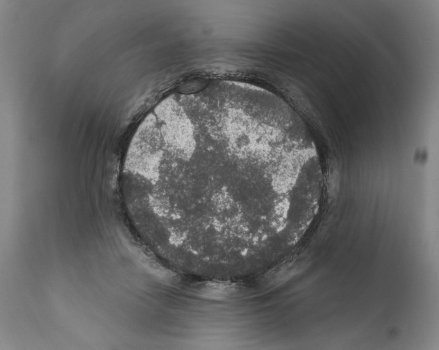 X0000111580458200908271040