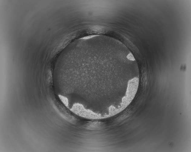 X0000111580459200908271040