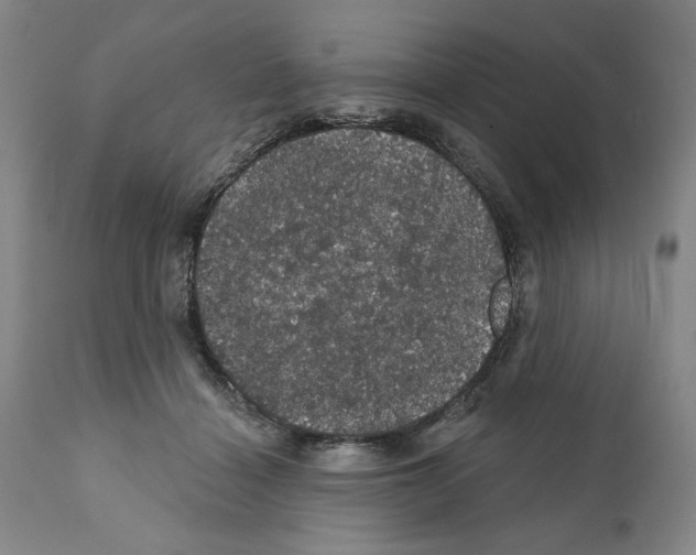 X0000111580460200908271040