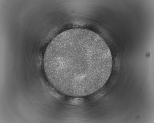 X0000111580463200908271040