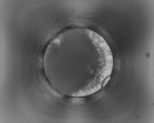 X0000111580465200908271040