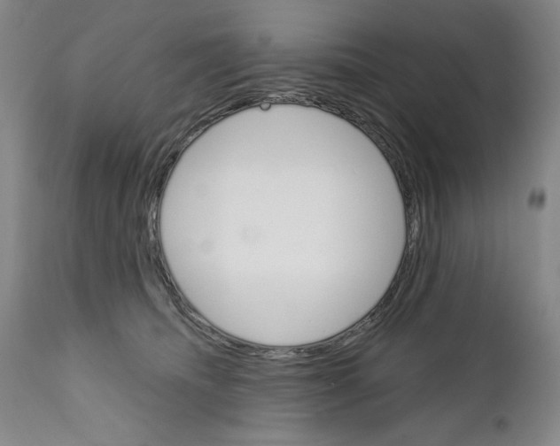 X0000111580468200908271040