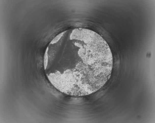 X0000111580469200908271040