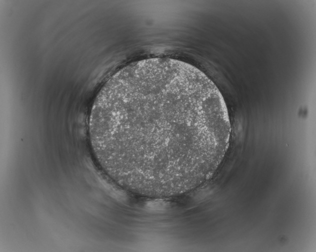 X0000111580470200908271040