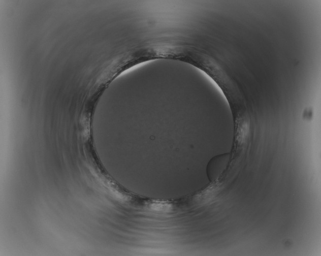 X0000111580471200908271040