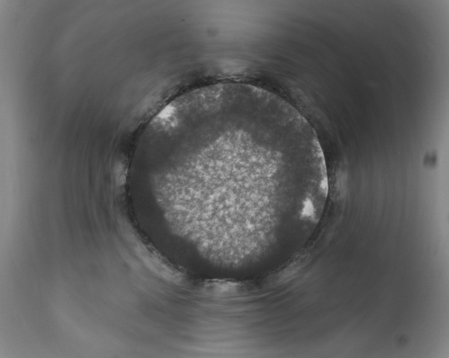 X0000111580472200908271040