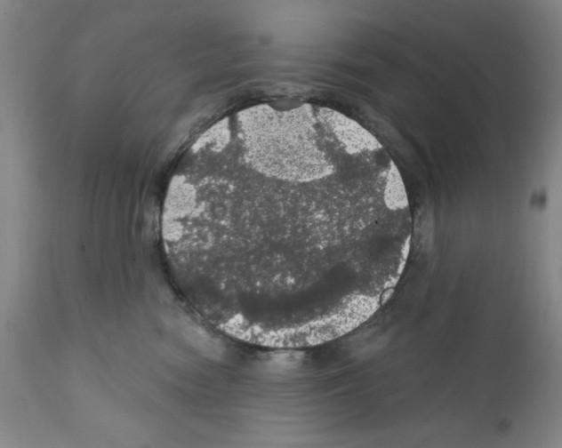 X0000111580474200908271040