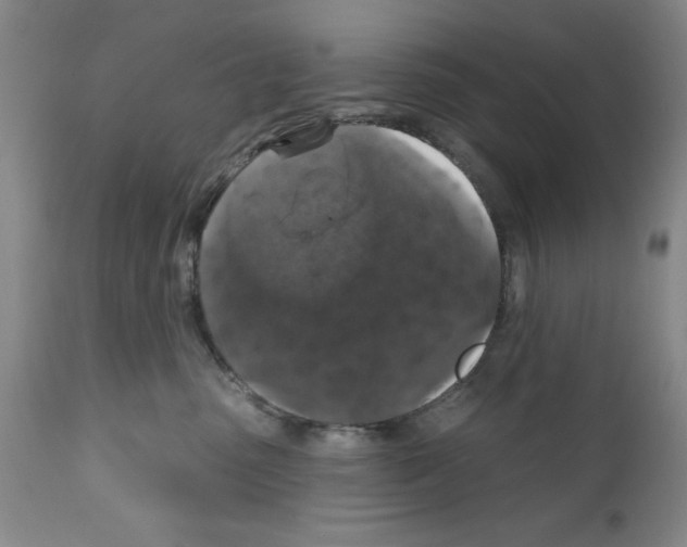 X0000111580475200908271040