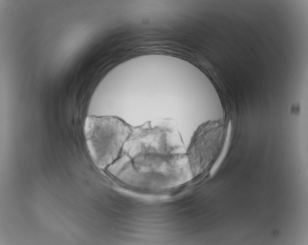 X0000111580477200908271040