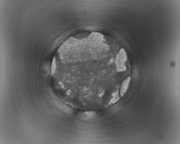 X0000111580478200908271040