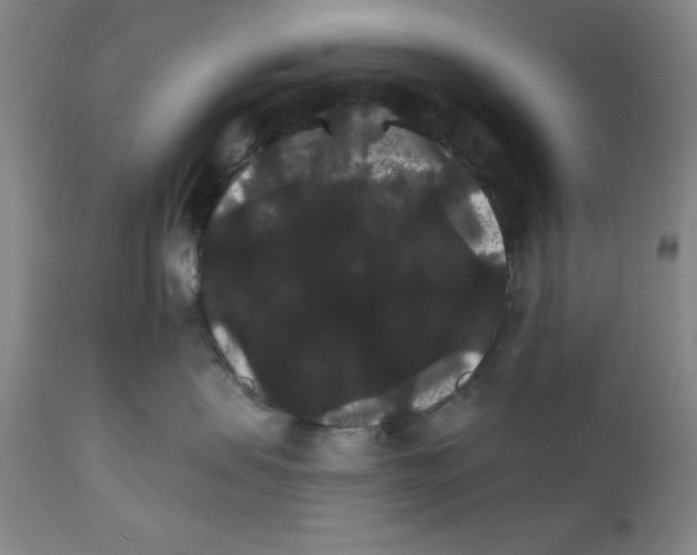 X0000111580479200908271040