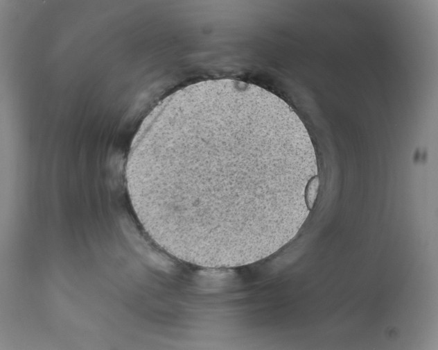 X0000111580480200908271040