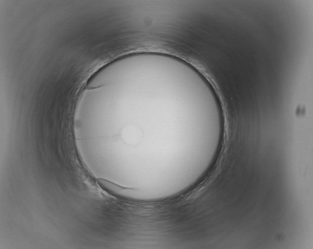 X0000111580481200908271039