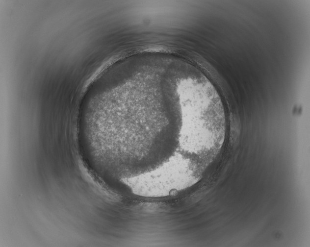 X0000111580482200908271039