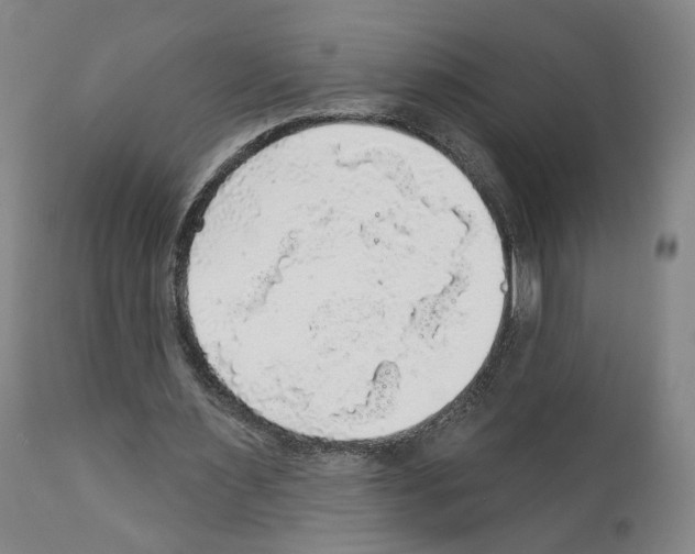 X0000111580483200908271039