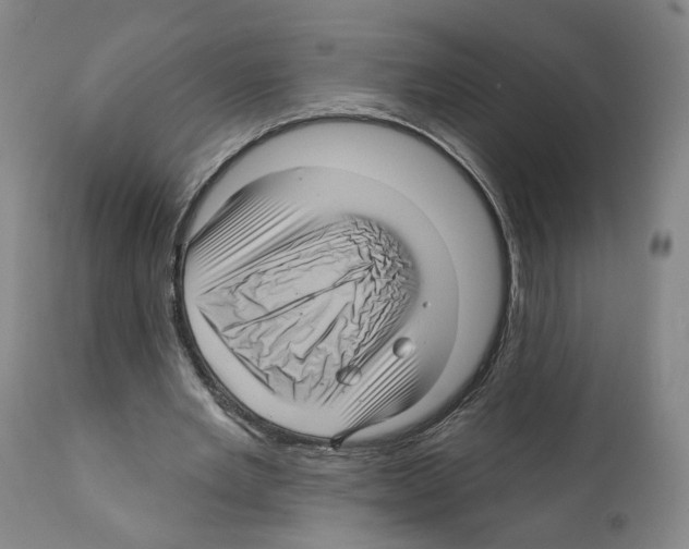 X0000111580485200908271039