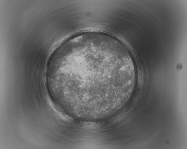 X0000111580486200908271039