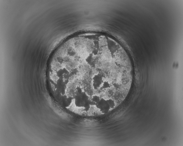 X0000111580487200908271039