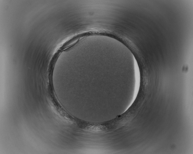 X0000111580488200908271039