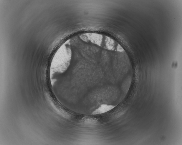 X0000111580491200908271039