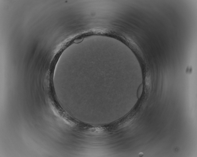 X0000111580492200908271039