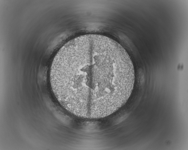 X0000111580495200908271039