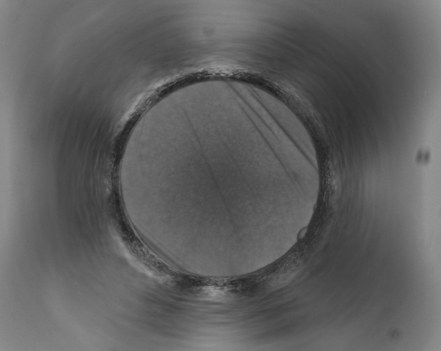 X0000111580496200908271039