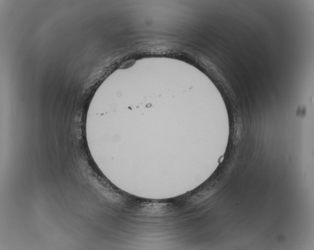 X0000111580497200908271039