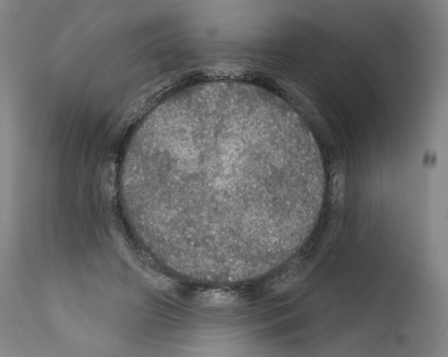 X0000111580498200908271039