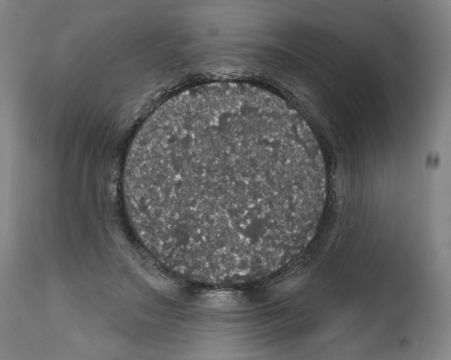 X0000111580499200908271039