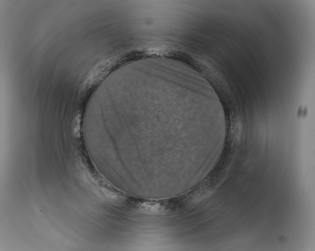 X0000111580502200908271039