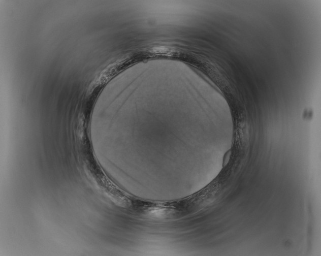 X0000111580504200908271039