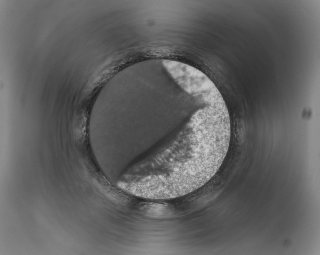 X0000111580507200908271039