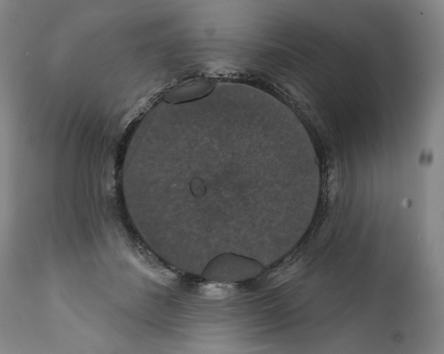 X0000111580508200908271039