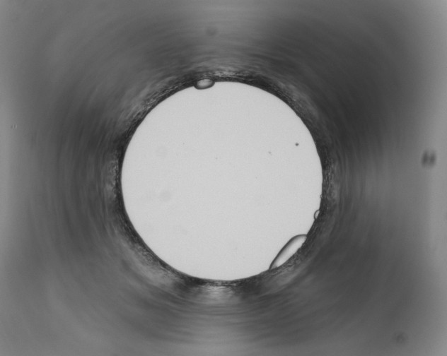 X0000111580509200908271039