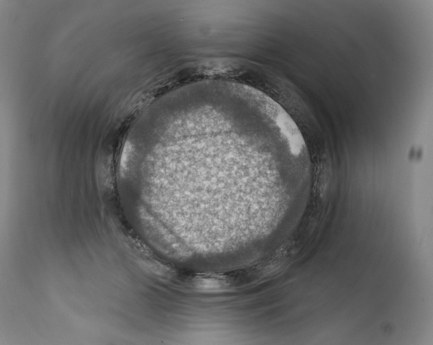 X0000111580510200908271039