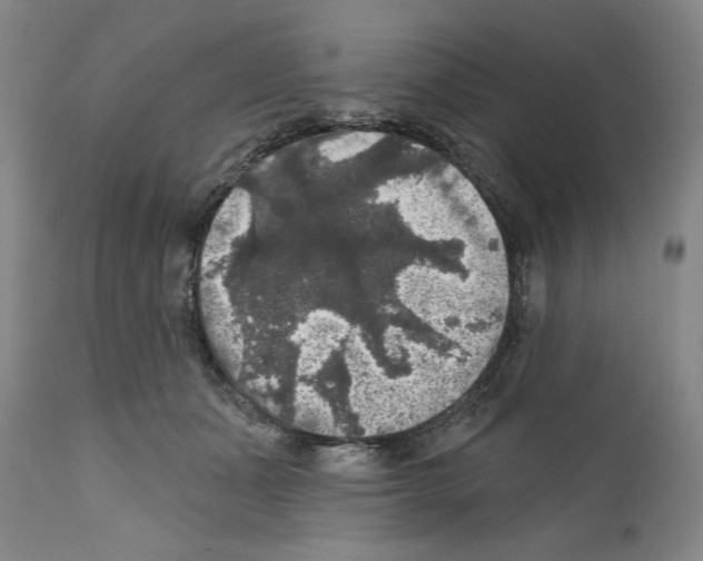 X0000111580511200908271039