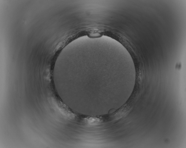 X0000111580512200908271039